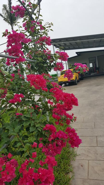 Chi House Hotel Miaoli Ngoại thất bức ảnh